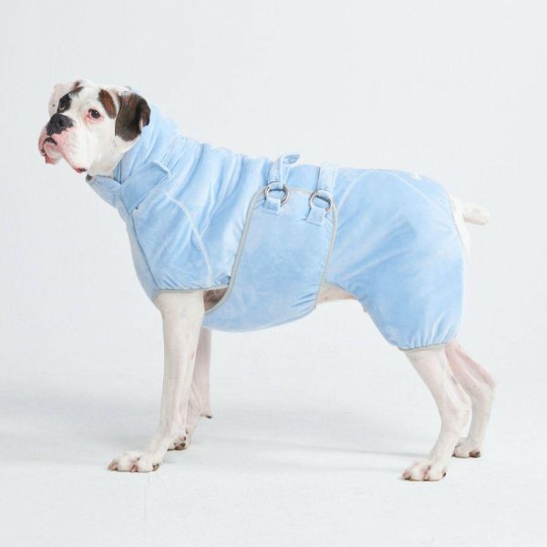 10 Minute Dry Dog Bathrobe | Spark Paws Dog Grooming Dog Grooming Dog Grooming