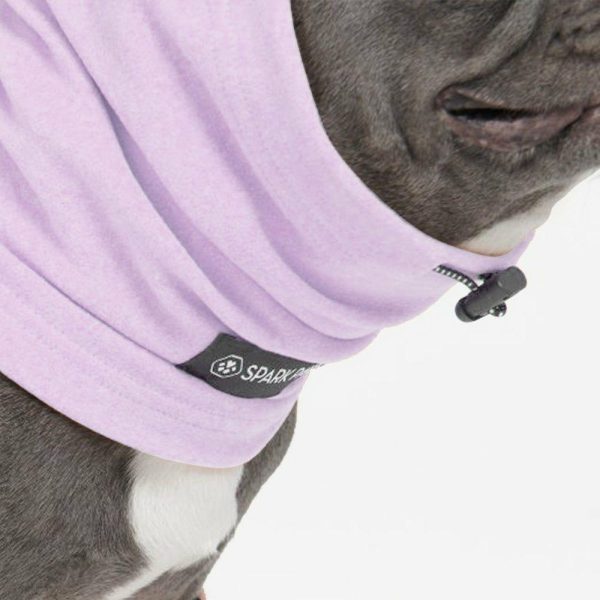 Anxiety Calming Dog Earmuff Protector – Purple | Spark Paws Dog Hats and Accessories Dog Hats & Accessories Dog Hats & Accessories