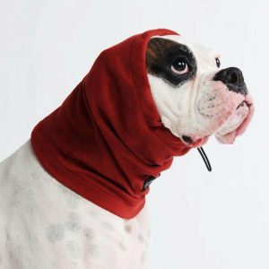 Anxiety Calming Dog Earmuff Protector – Red | Spark Paws Dog Hats and Accessories Dog Hats & Accessories Dog Hats & Accessories