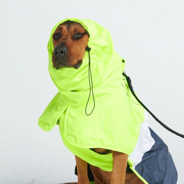 Breatheshield™ Dog Raincoat- Lime White Navy | Spark Paws Dog Raincoat Dog Raincoat Dog Raincoat