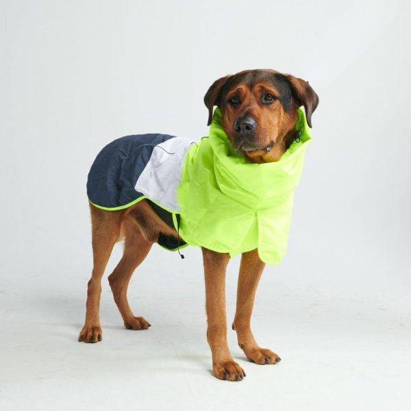 Breatheshield™ Dog Raincoat- Lime White Navy | Spark Paws Dog Raincoat Dog Raincoat Dog Raincoat