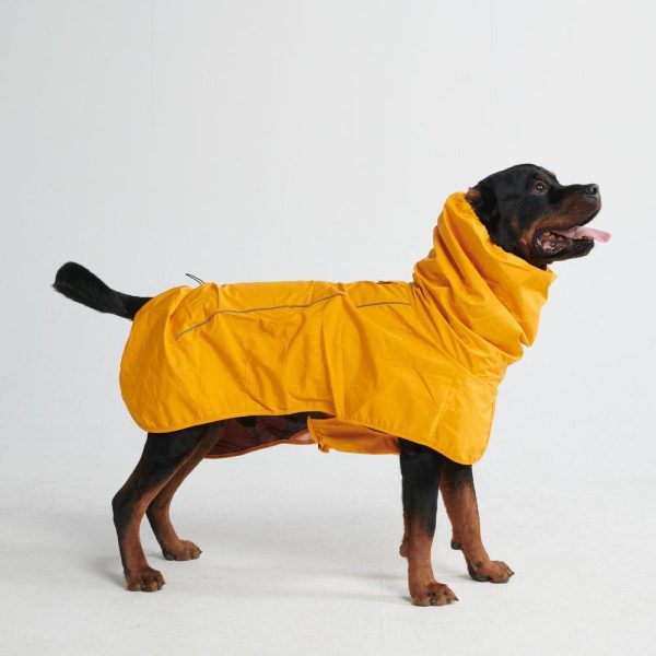 Breatheshield™ Dog Raincoat – Mustard Yellow | Spark Paws Dog Raincoat Dog Raincoat Dog Raincoat