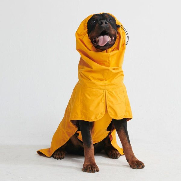 Breatheshield™ Dog Raincoat – Mustard Yellow | Spark Paws Dog Raincoat Dog Raincoat Dog Raincoat