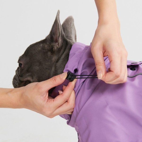 Breatheshield™ Dog Raincoat – Purple | Spark Paws Dog Raincoat Dog Raincoat Dog Raincoat