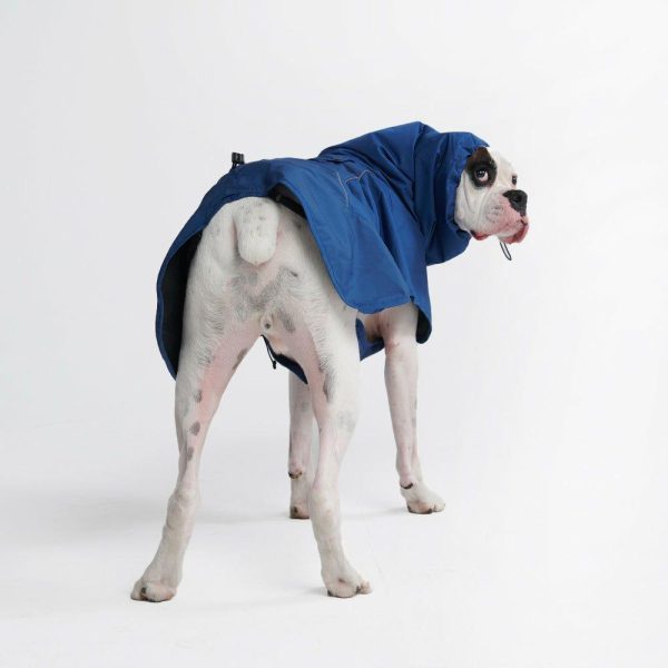 Breatheshield™ Dog Raincoat- Royal Blue | Spark Paws Dog Raincoat Dog Raincoat Dog Raincoat