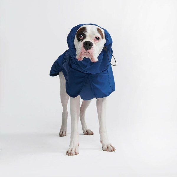 Breatheshield™ Dog Raincoat- Royal Blue | Spark Paws Dog Raincoat Dog Raincoat Dog Raincoat