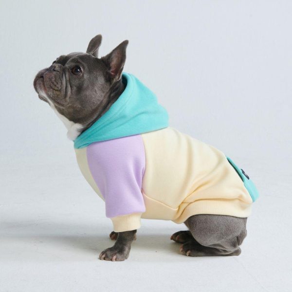 Coastal Dog Hoodie | Spark Paws Dog Hoodies Dog Hoodies Dog Hoodies