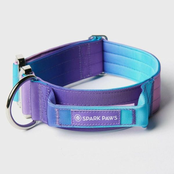 Comfort Control Collar – 90s Retro | Spark Paws Comfort Control Dog Collar Comfort Control Dog Collar 90s Retro