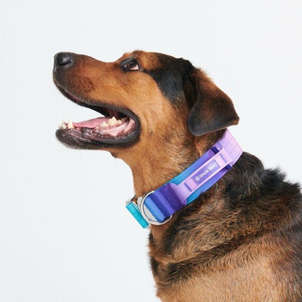 Comfort Control Collar – 90s Retro | Spark Paws Comfort Control Dog Collar Comfort Control Dog Collar 90s Retro