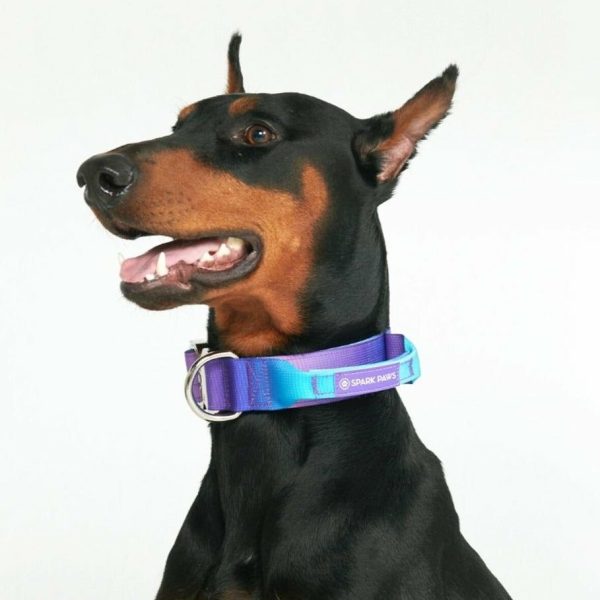 Comfort Control Collar – 90s Retro | Spark Paws Comfort Control Dog Collar Comfort Control Dog Collar 90s Retro