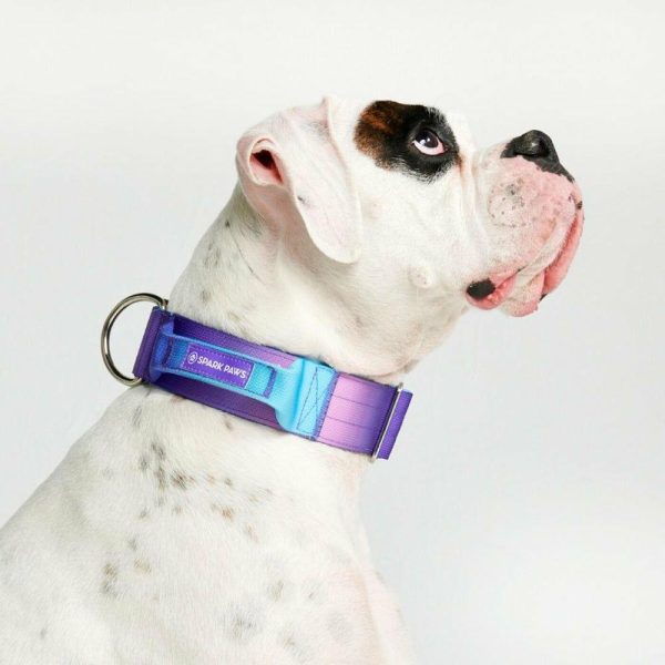 Comfort Control Collar – 90s Retro | Spark Paws Comfort Control Dog Collar Comfort Control Dog Collar 90s Retro