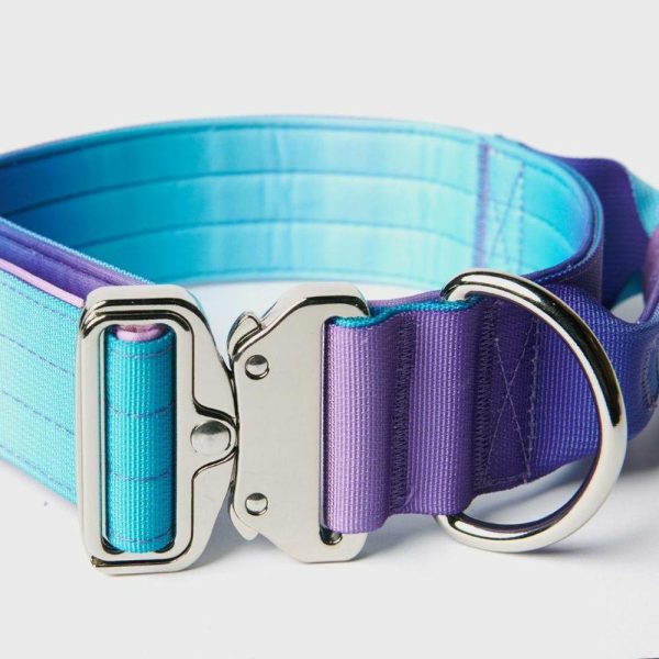 Comfort Control Collar – 90s Retro | Spark Paws Comfort Control Dog Collar Comfort Control Dog Collar 90s Retro