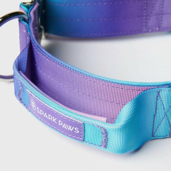 Comfort Control Collar – 90s Retro | Spark Paws Comfort Control Dog Collar Comfort Control Dog Collar 90s Retro