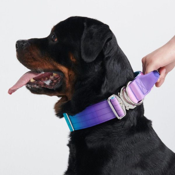 Comfort Control Collar – 90s Retro | Spark Paws Comfort Control Dog Collar Comfort Control Dog Collar 90s Retro