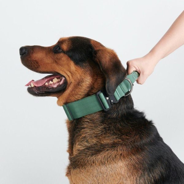 Comfort Control Collar – Army Green | Spark Paws Comfort Control Dog Collar Comfort Control Dog Collar Army Green