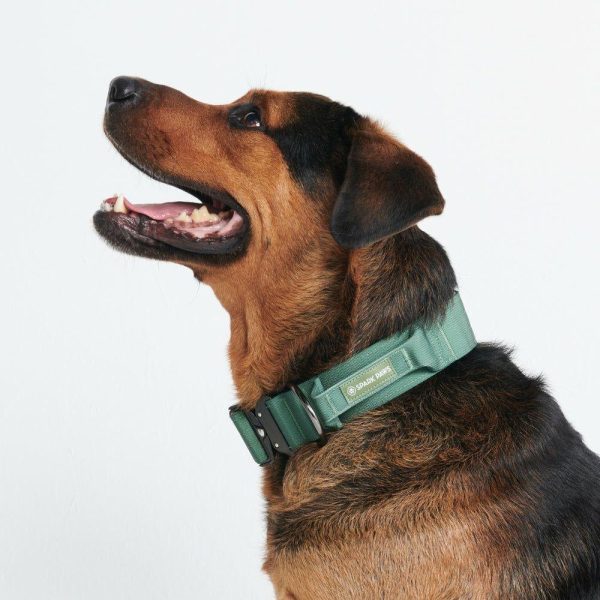 Comfort Control Collar – Army Green | Spark Paws Comfort Control Dog Collar Comfort Control Dog Collar Army Green