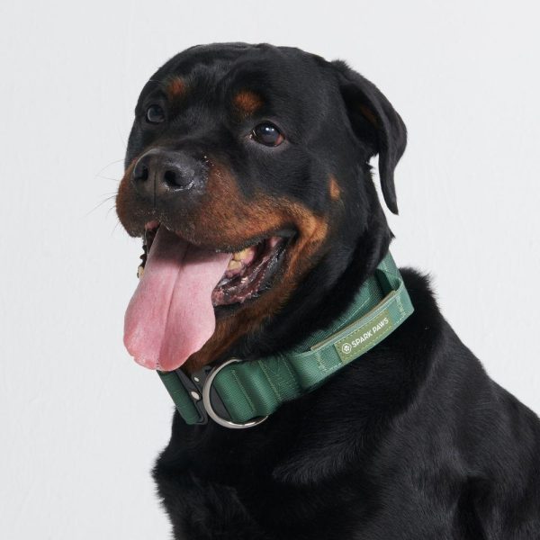 Comfort Control Collar – Army Green | Spark Paws Comfort Control Dog Collar Comfort Control Dog Collar Army Green