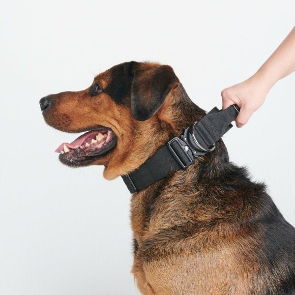 Comfort Control Collar – Black | Spark Paws Comfort Control Dog Collar Comfort Control Dog Collar Black