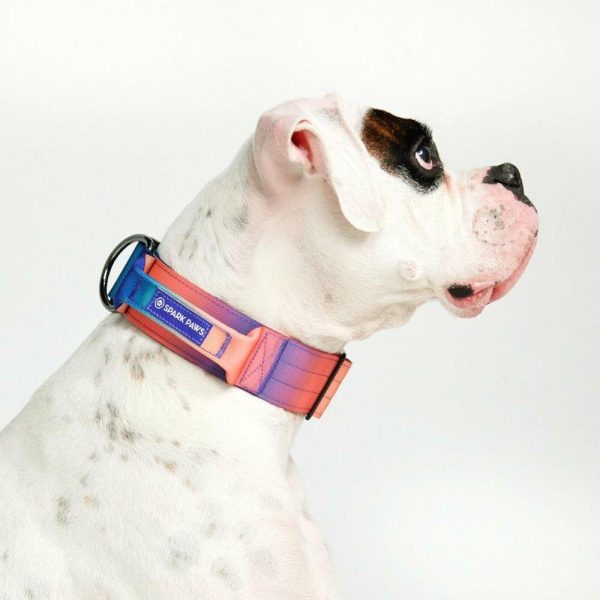 Comfort Control Collar – Kaleidoscope | Spark Paws Comfort Control Dog Collar Comfort Control Dog Collar Comfort Control Dog Collar