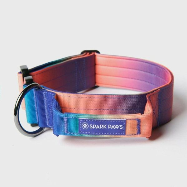 Comfort Control Collar – Kaleidoscope | Spark Paws Comfort Control Dog Collar Comfort Control Dog Collar Comfort Control Dog Collar