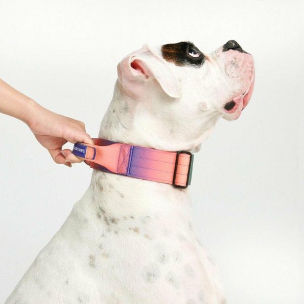 Comfort Control Collar – Kaleidoscope | Spark Paws Comfort Control Dog Collar Comfort Control Dog Collar Comfort Control Dog Collar