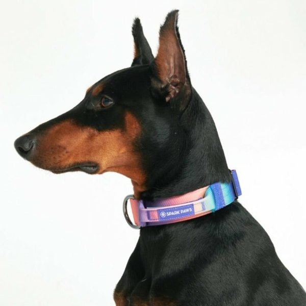 Comfort Control Collar – Kaleidoscope | Spark Paws Comfort Control Dog Collar Comfort Control Dog Collar Comfort Control Dog Collar