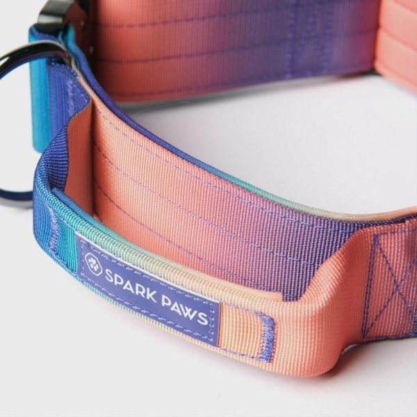 Comfort Control Collar – Kaleidoscope | Spark Paws Comfort Control Dog Collar Comfort Control Dog Collar Comfort Control Dog Collar