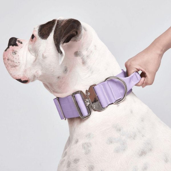 Comfort Control Collar – Lilac | Spark Paws Comfort Control Dog Collar Walk Comfort Control Dog Collar