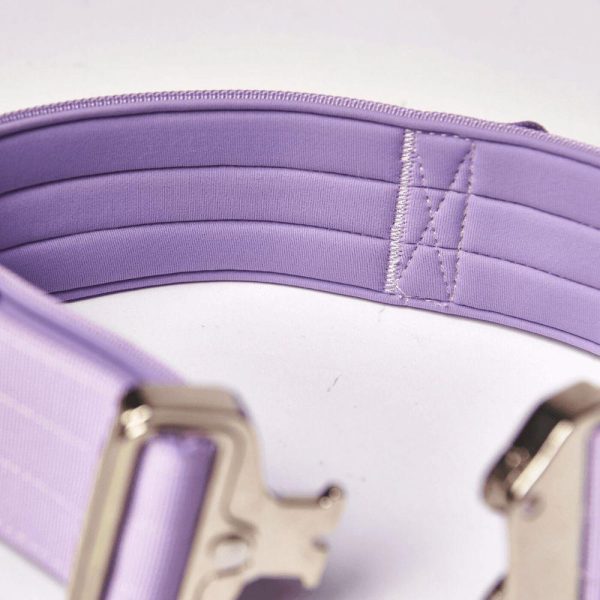 Comfort Control Collar – Lilac | Spark Paws Comfort Control Dog Collar Walk Comfort Control Dog Collar