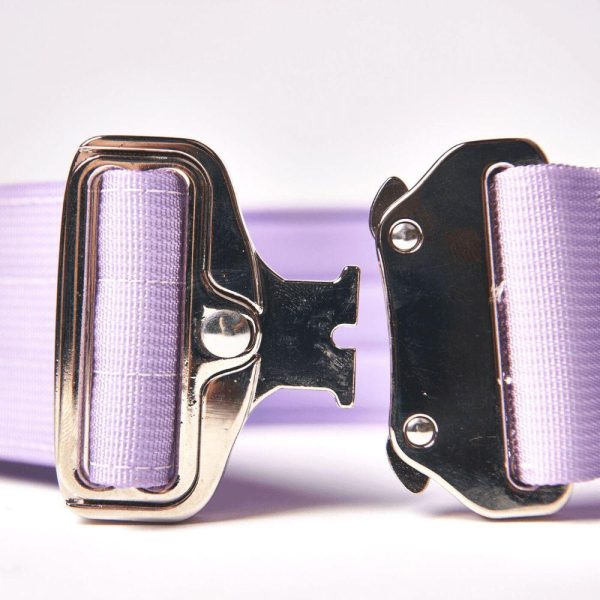 Comfort Control Collar – Lilac | Spark Paws Comfort Control Dog Collar Walk Comfort Control Dog Collar