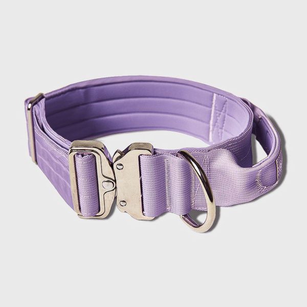 Comfort Control Collar – Lilac | Spark Paws Comfort Control Dog Collar Walk Comfort Control Dog Collar