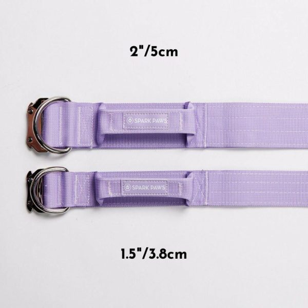 Comfort Control Collar – Lilac | Spark Paws Comfort Control Dog Collar Walk Comfort Control Dog Collar