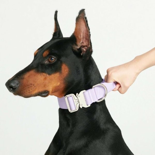 Comfort Control Collar – Lilac | Spark Paws Comfort Control Dog Collar Walk Comfort Control Dog Collar