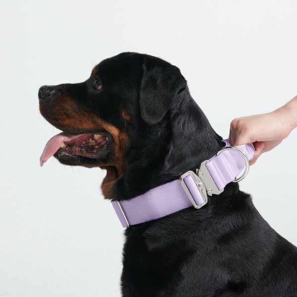 Comfort Control Collar – Lilac | Spark Paws Comfort Control Dog Collar Walk Comfort Control Dog Collar