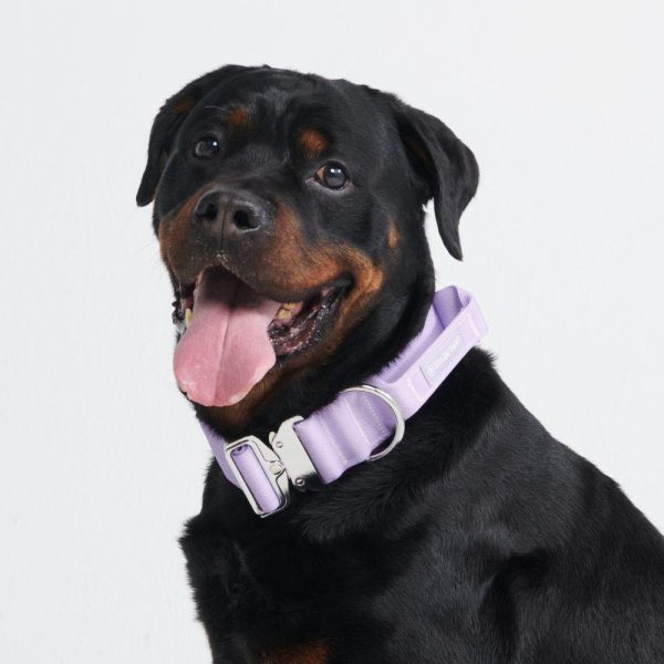 Comfort Control Collar – Lilac | Spark Paws Comfort Control Dog Collar Walk Comfort Control Dog Collar