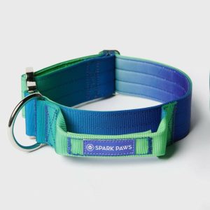 Comfort Control Collar – Lime Wave | Spark Paws Comfort Control Dog Collar Comfort Control Dog Collar Comfort Control Dog Collar