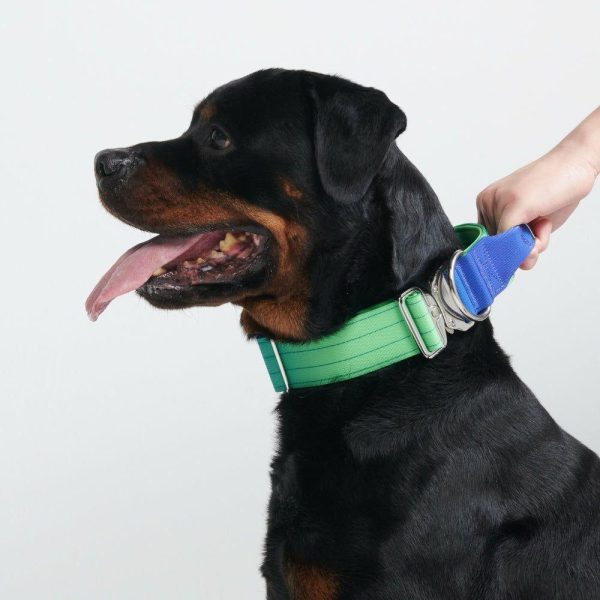 Comfort Control Collar – Lime Wave | Spark Paws Comfort Control Dog Collar Comfort Control Dog Collar Comfort Control Dog Collar