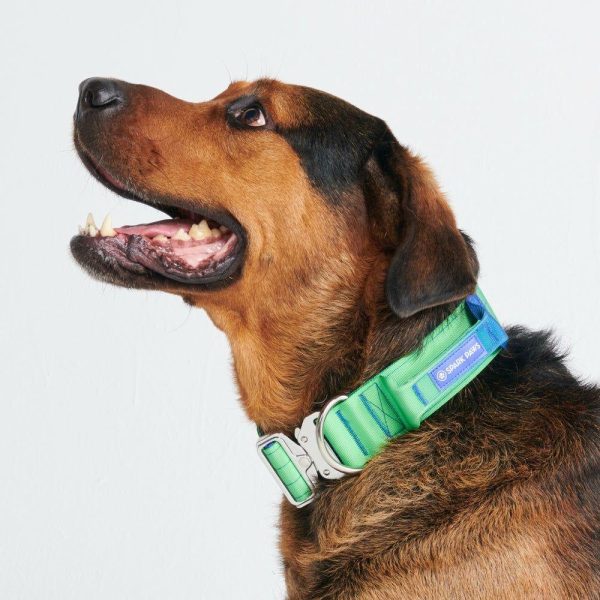 Comfort Control Collar – Lime Wave | Spark Paws Comfort Control Dog Collar Comfort Control Dog Collar Comfort Control Dog Collar