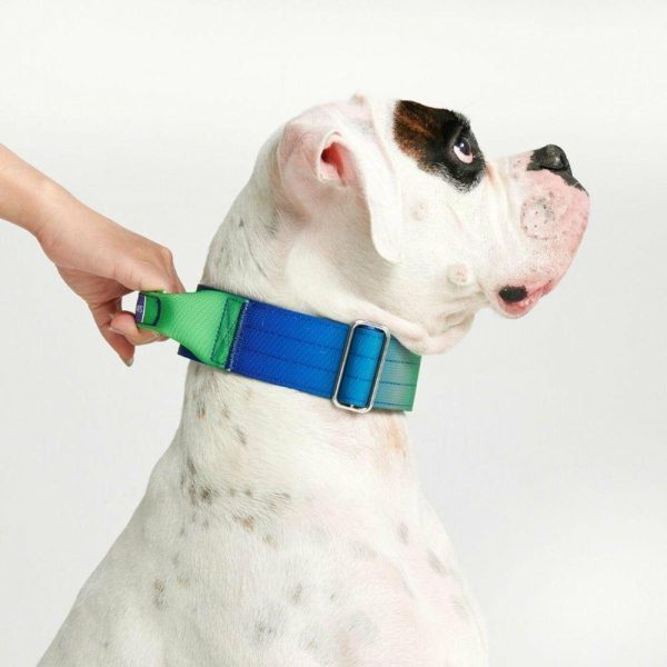 Comfort Control Collar – Lime Wave | Spark Paws Comfort Control Dog Collar Comfort Control Dog Collar Comfort Control Dog Collar