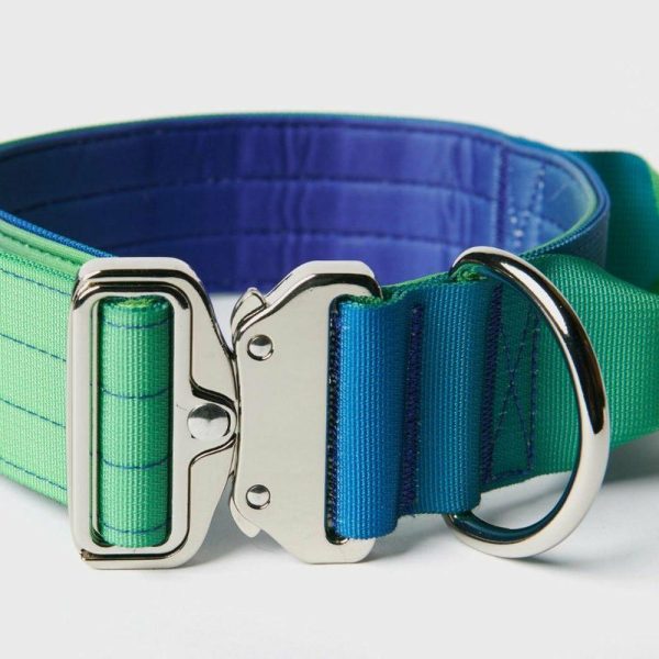 Comfort Control Collar – Lime Wave | Spark Paws Comfort Control Dog Collar Comfort Control Dog Collar Comfort Control Dog Collar