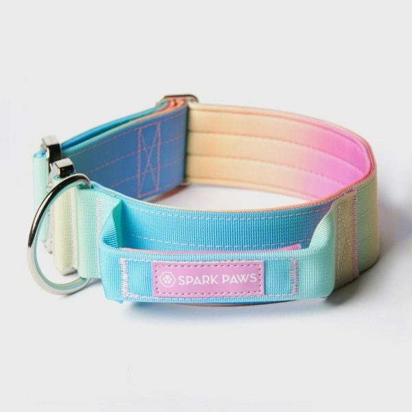 Comfort Control Collar – Pastel Icing | Spark Paws Comfort Control Dog Collar Comfort Control Dog Collar Comfort Control Dog Collar