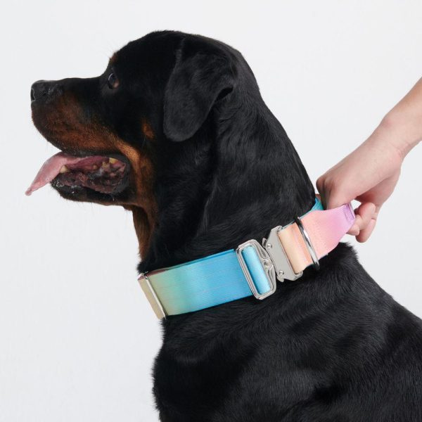 Comfort Control Collar – Pastel Icing | Spark Paws Comfort Control Dog Collar Comfort Control Dog Collar Comfort Control Dog Collar