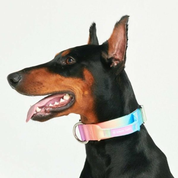 Comfort Control Collar – Pastel Icing | Spark Paws Comfort Control Dog Collar Comfort Control Dog Collar Comfort Control Dog Collar