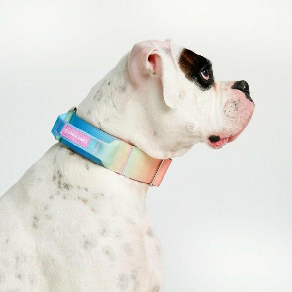 Comfort Control Collar – Pastel Icing | Spark Paws Comfort Control Dog Collar Comfort Control Dog Collar Comfort Control Dog Collar