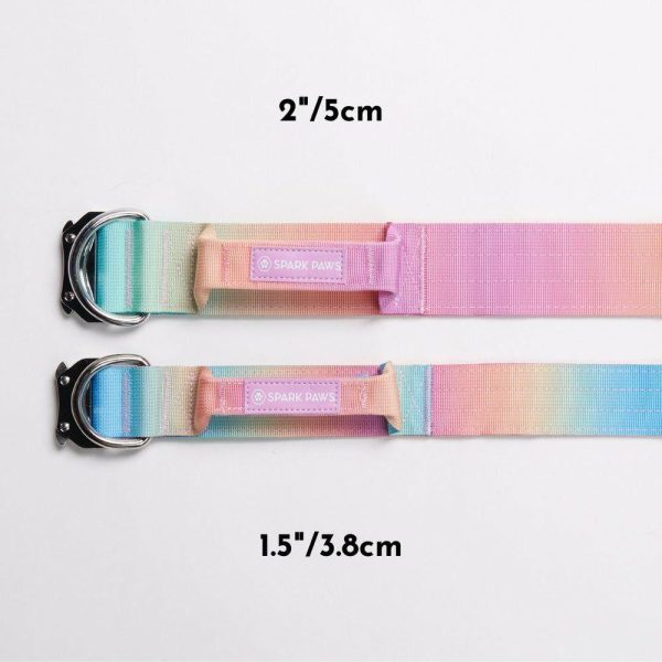 Comfort Control Collar – Pastel Icing | Spark Paws Comfort Control Dog Collar Comfort Control Dog Collar Comfort Control Dog Collar