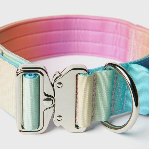 Comfort Control Collar – Pastel Icing | Spark Paws Comfort Control Dog Collar Comfort Control Dog Collar Comfort Control Dog Collar