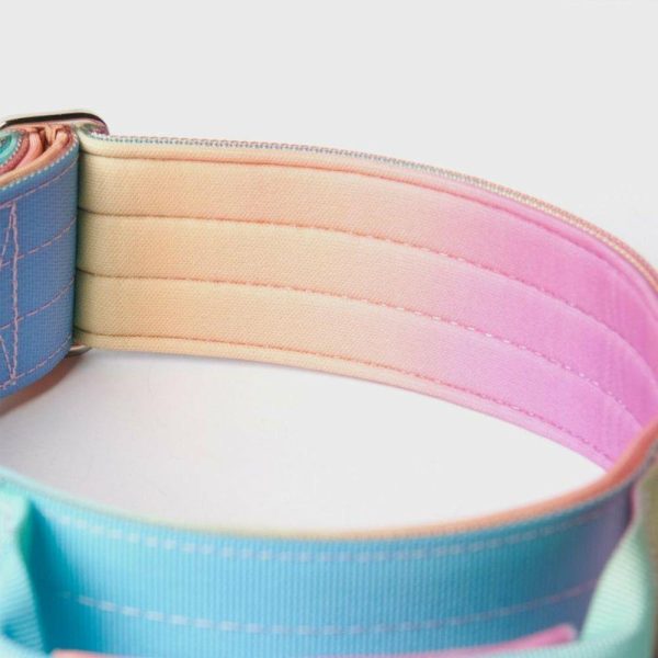 Comfort Control Collar – Pastel Icing | Spark Paws Comfort Control Dog Collar Comfort Control Dog Collar Comfort Control Dog Collar