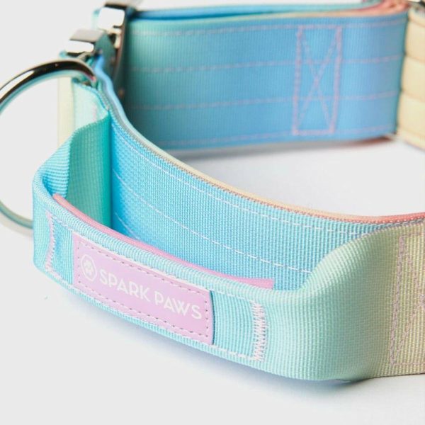 Comfort Control Collar – Pastel Icing | Spark Paws Comfort Control Dog Collar Comfort Control Dog Collar Comfort Control Dog Collar