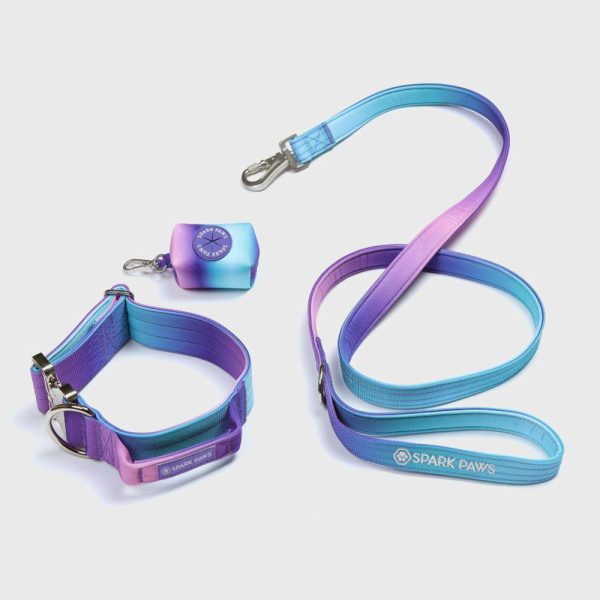 Comfort Control Collar Set – 90s Retro | Spark Paws Comfort Control Dog Collar Comfort Control Dog Collar 90s Retro