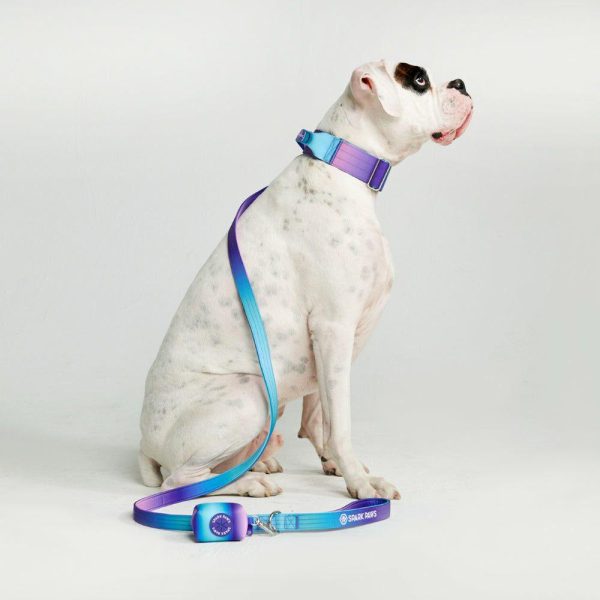 Comfort Control Collar Set – 90s Retro | Spark Paws Comfort Control Dog Collar Comfort Control Dog Collar 90s Retro